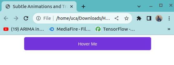 html button styling and transition animation