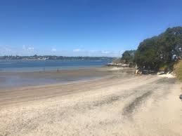 Tamaki Path nameless bay at Pt England reserve - Bike Auckland