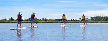 Eastern Shores: Paddle Boarding Adventures on the Outer Banks