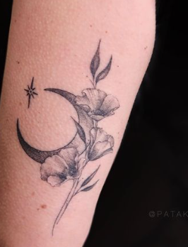 Star And Moon With California Poppy 