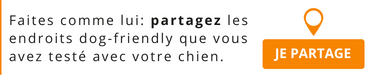 Emmenetonchien - deposer une adresse dogfriendly.png