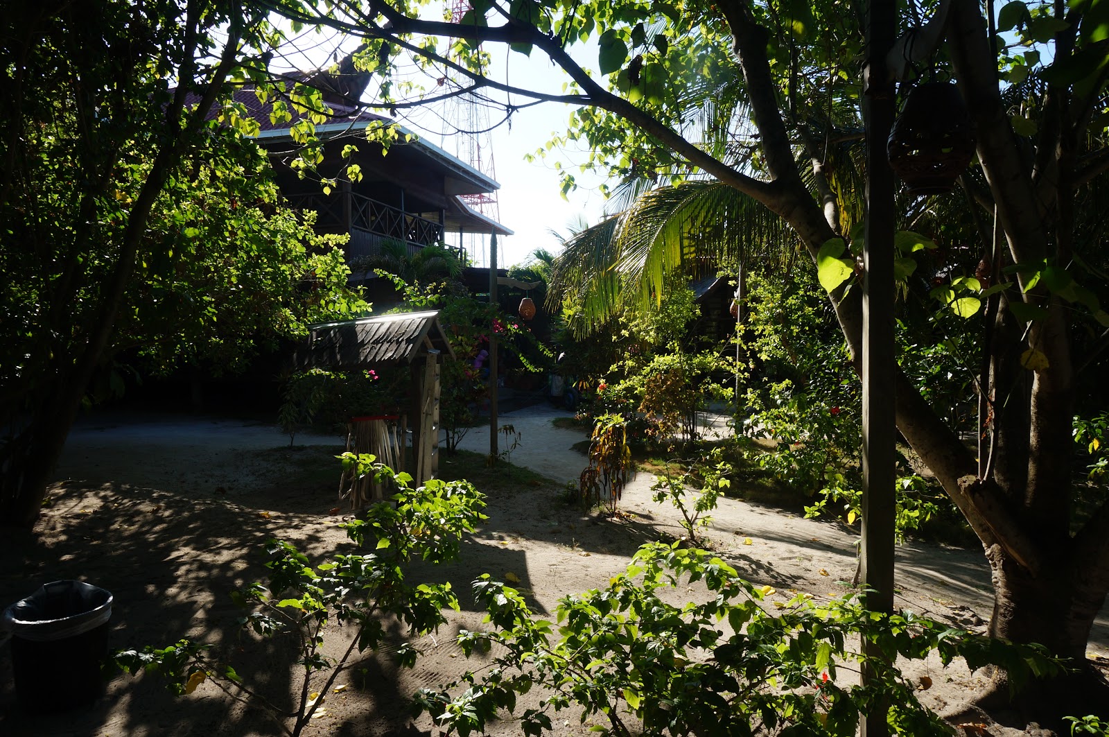 DSC08182.JPG