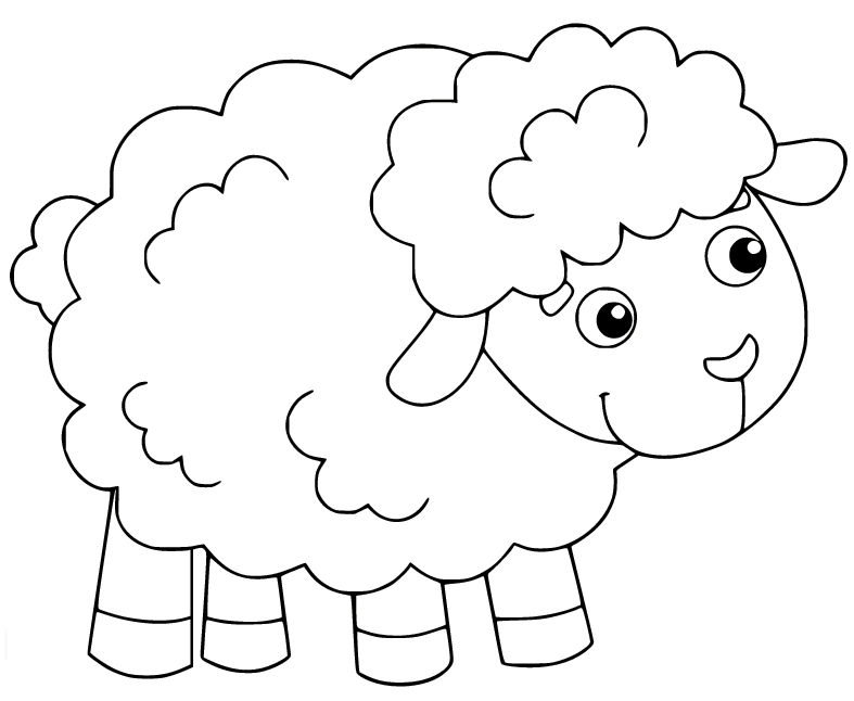 Sheep coloring pages