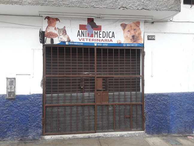 Ani Medica