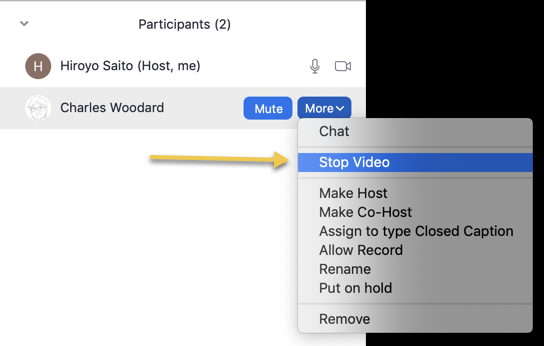a screenshot showing participants window and more and stop video options highlighted. 