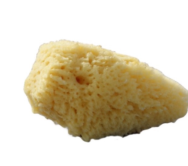 FullSizeRender.jpg