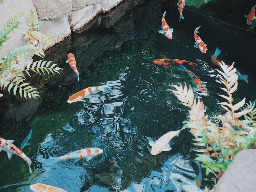 Bucket List: Kimono Experience Japan via Klook  Review