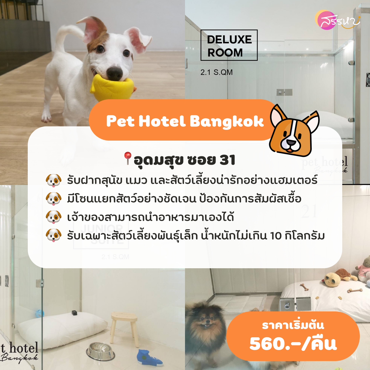 Pet Hotel Bangkok