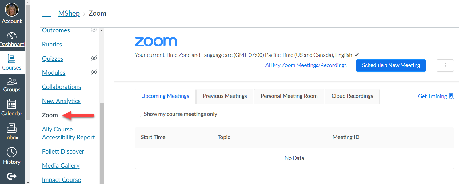 Canvas course page with arrow pointing to the zoom tab