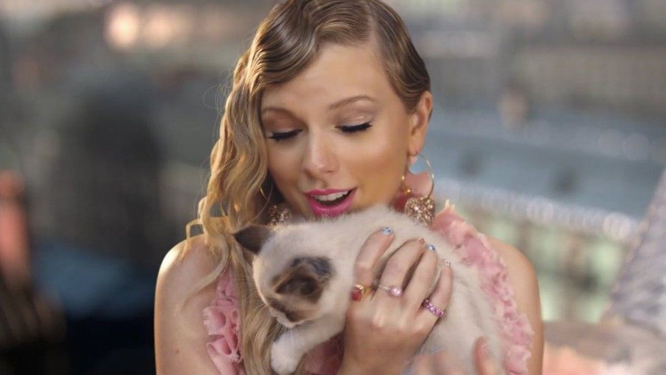 Image result for taylor swift me kitten