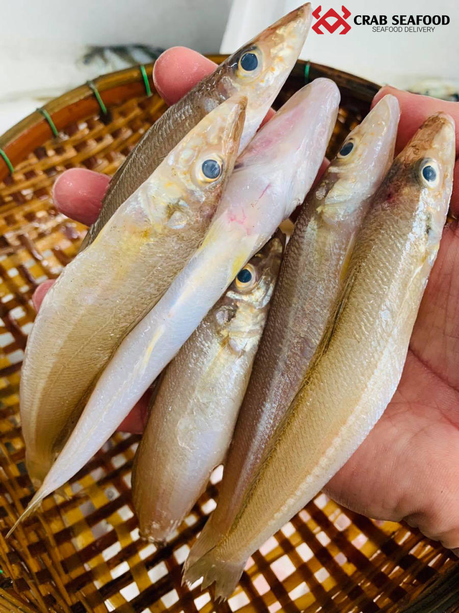 Bảng Giá Cá Đục Mới Nhất