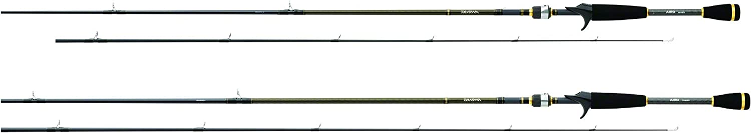 Daiwa Aird-X - Overall Best Baitcasting Rod Under $100