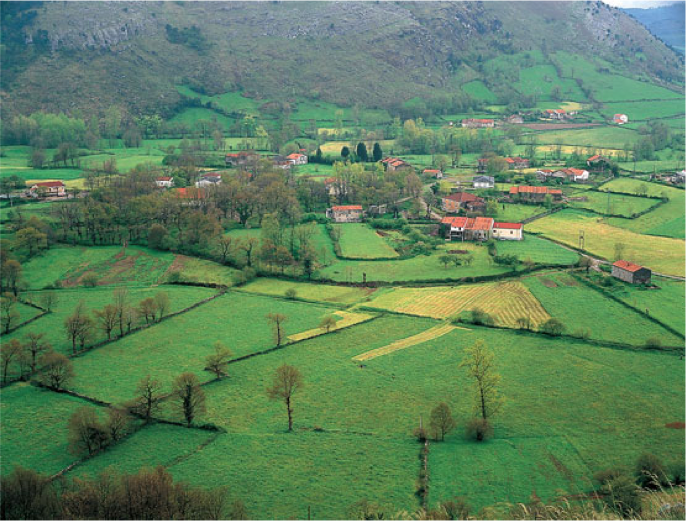 Resultat d'imatges de paisaje agrario