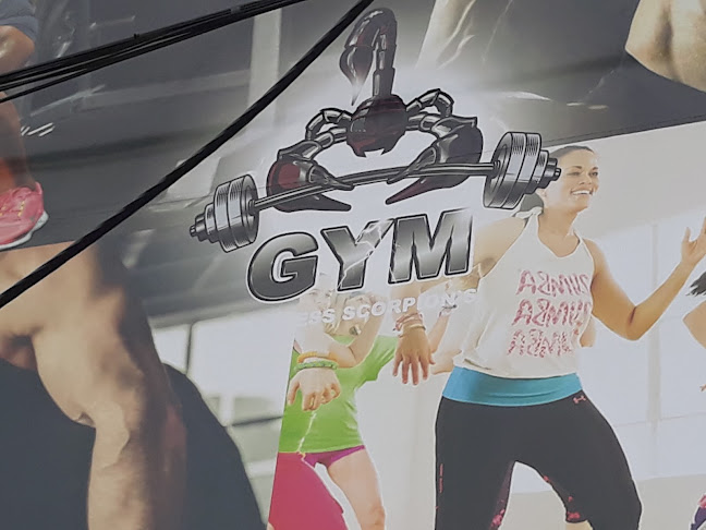 Fitness Scorpion´s GYM