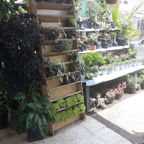 VIVERO FLOR DE LOTO - Centro de jardinería