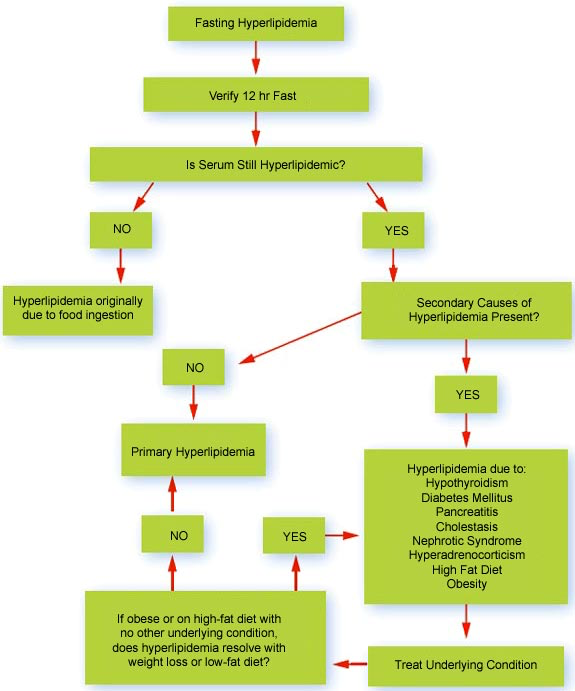 Diagnostic Approach to the Hyperlipidemic Patient IVIS