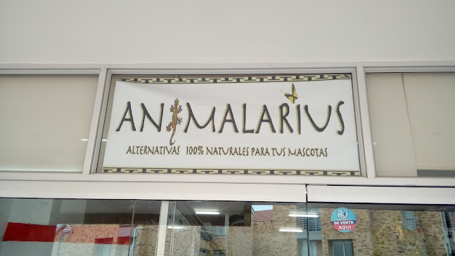 Animalarius &CO - Veterinario