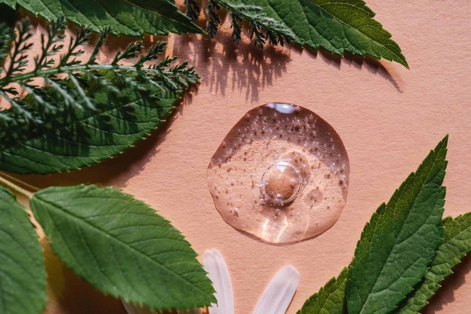 producto para el cuidado de la piel con cbd sobre fondo rosa con hojas verdes a su alrededor