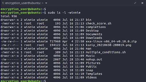 Once logged in as the temporary privileged user, you can have a glance at the contents of the home directory that you are about to encrypt. Here, ~winnie is the home directory of the user account called winnie that we will encrypt shortly.