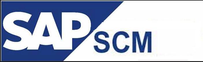 sap scm training in delhi