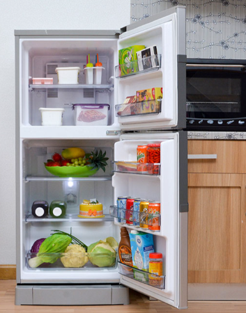 Tủ lạnh panasonic ngăn đá khổng lồ jumbo tiện lợi để bảo quản thực phẩm