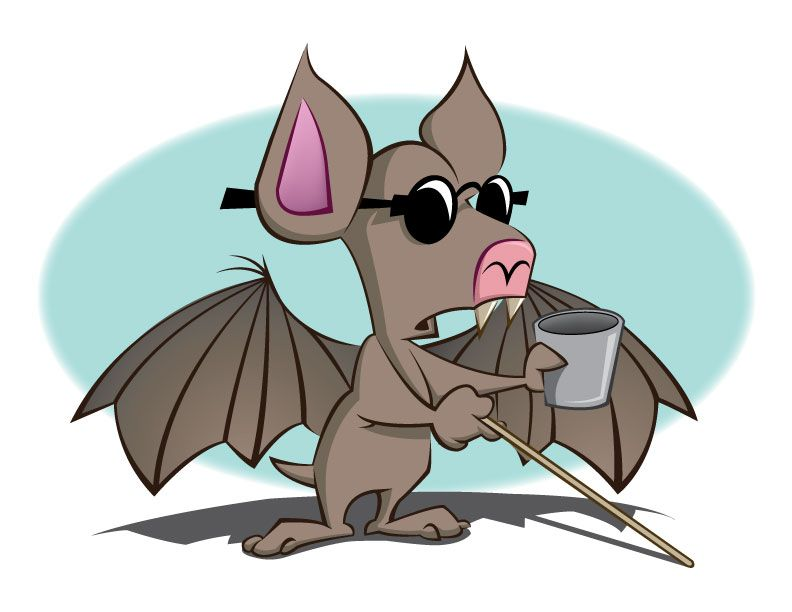 animal-idioms-bat