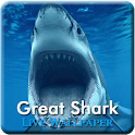 3D Great Shark  Live Wallpaper apk