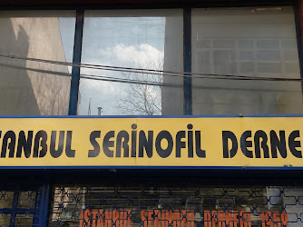 İstanbul Serinofil Derneği