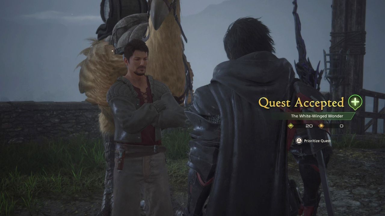 Accepting the Quest
