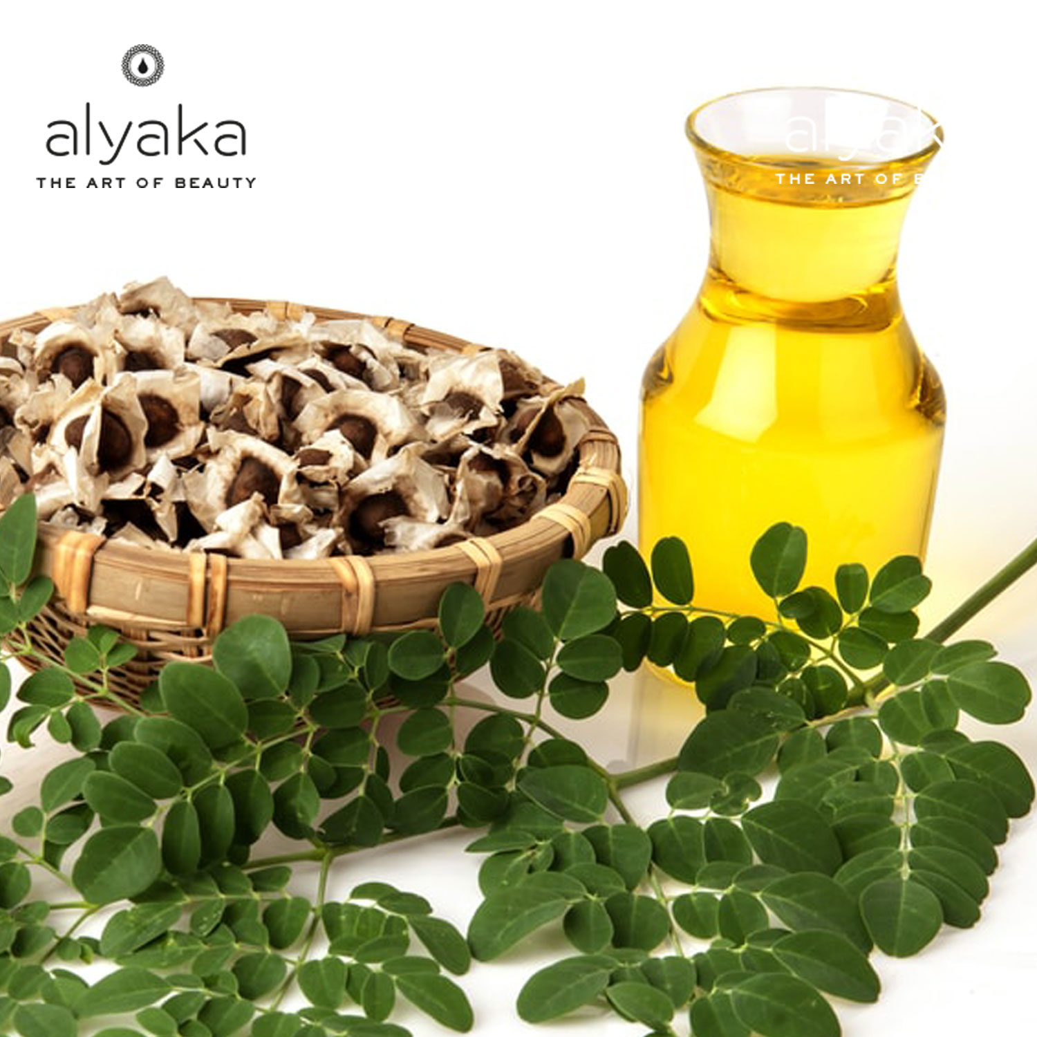 Moringa Oil for Face