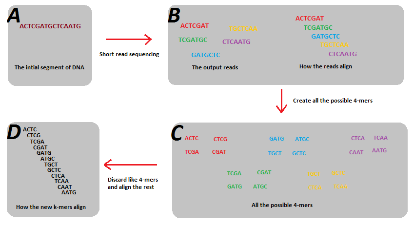 ../Downloads/K-mer-example.png