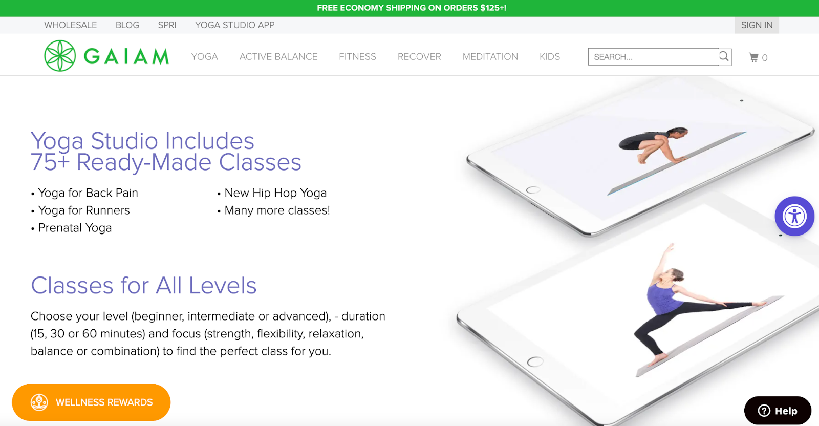 Mental Wellness Brands for World Mental Health Day–A screenshot of Gaiam’s Yoga Studio App page explaining the types of classes and levels available. 