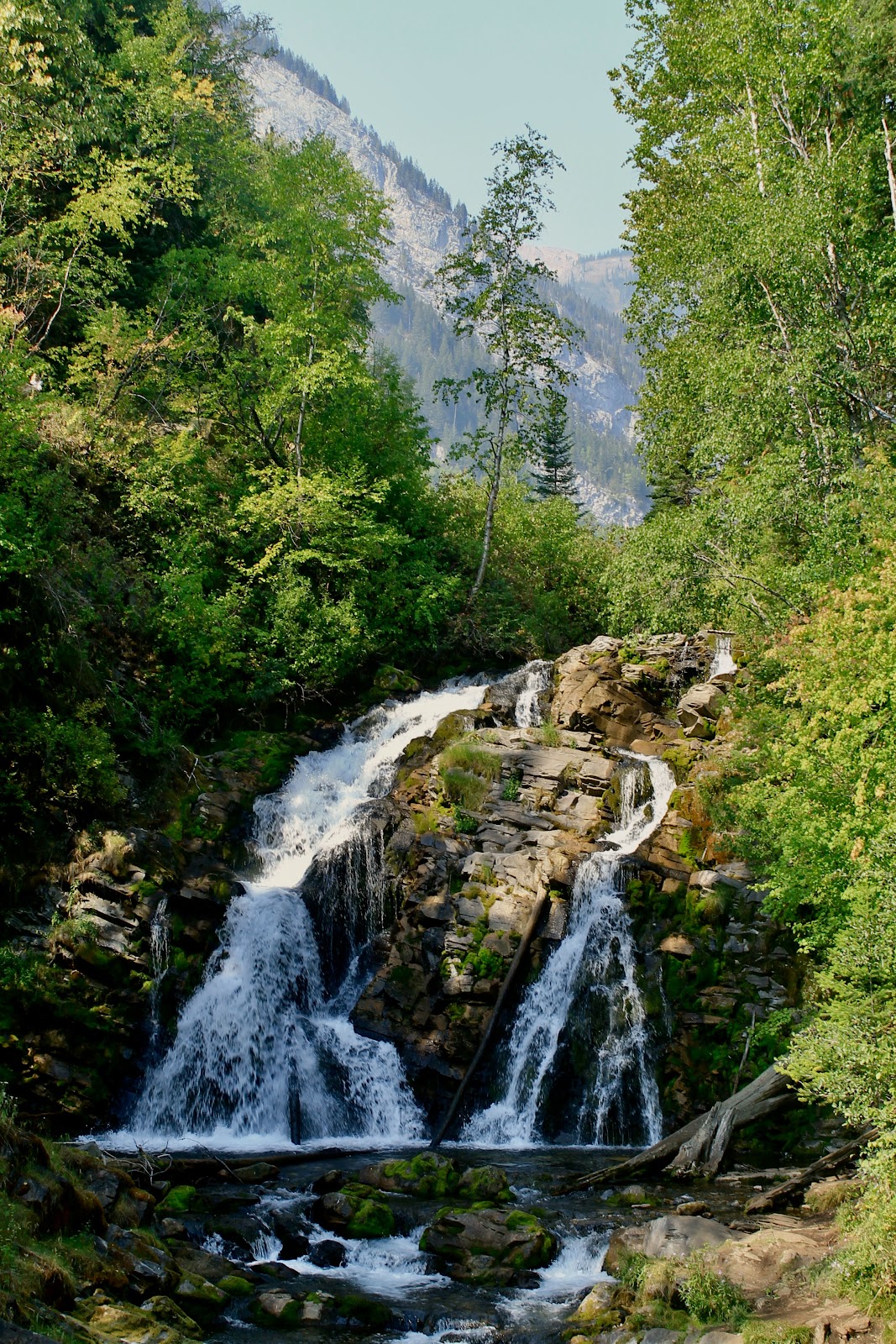 Fairy Creek Falls