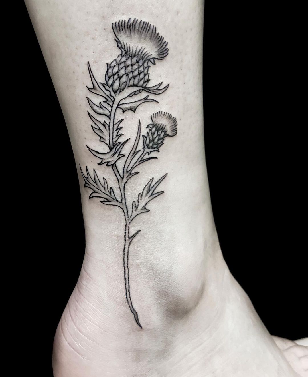 Thistle Flower Tattoo Black And White Design