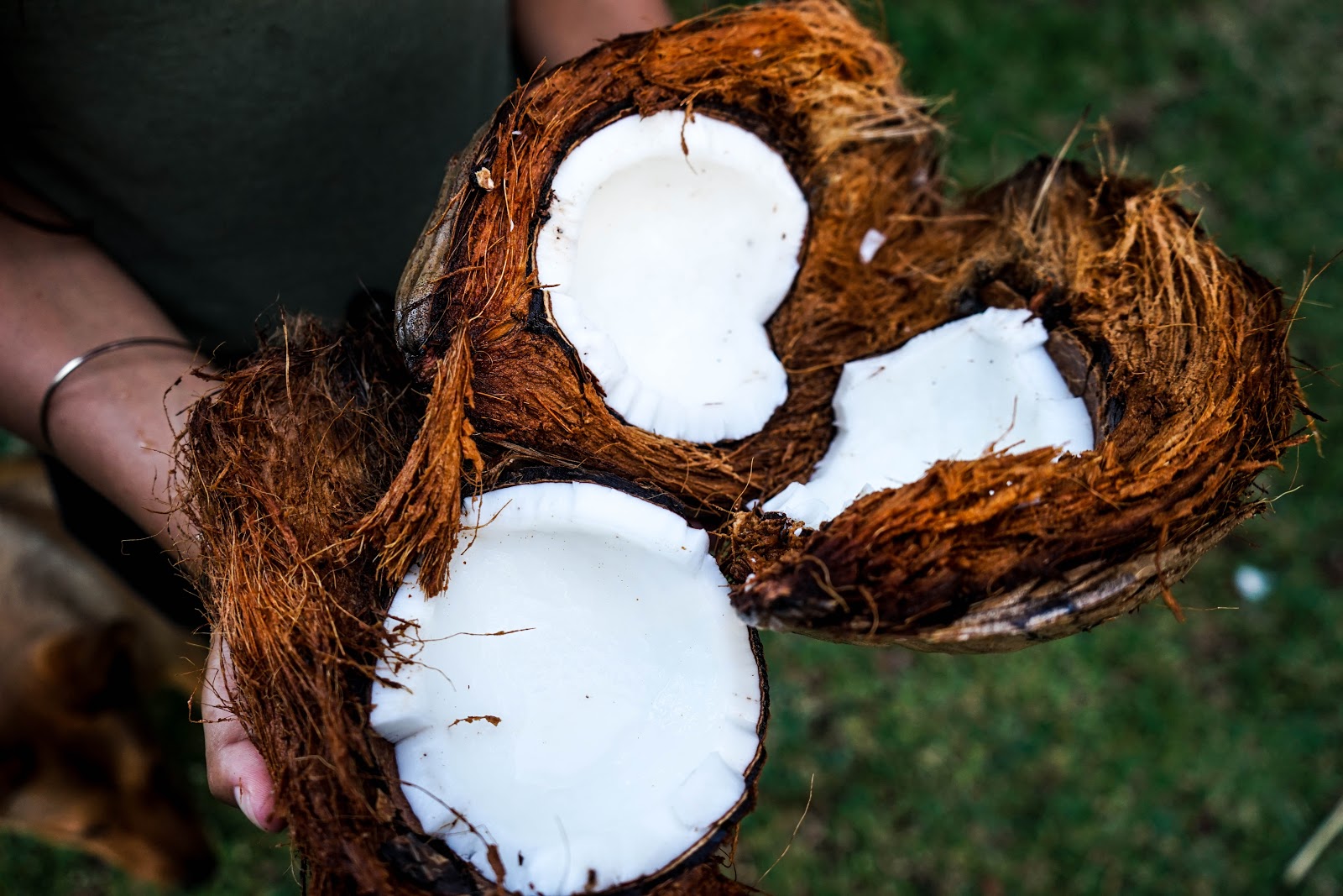 Person holding opened coconuts