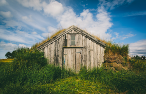 A house with a triangle roof and surrounded by tall grass.