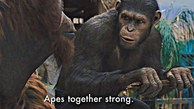 8/5/22 APEs Revolt &amp; Tesla Splits