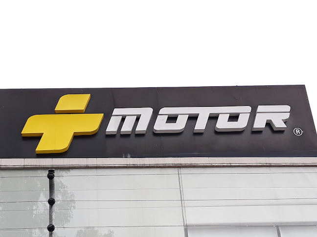 Motor