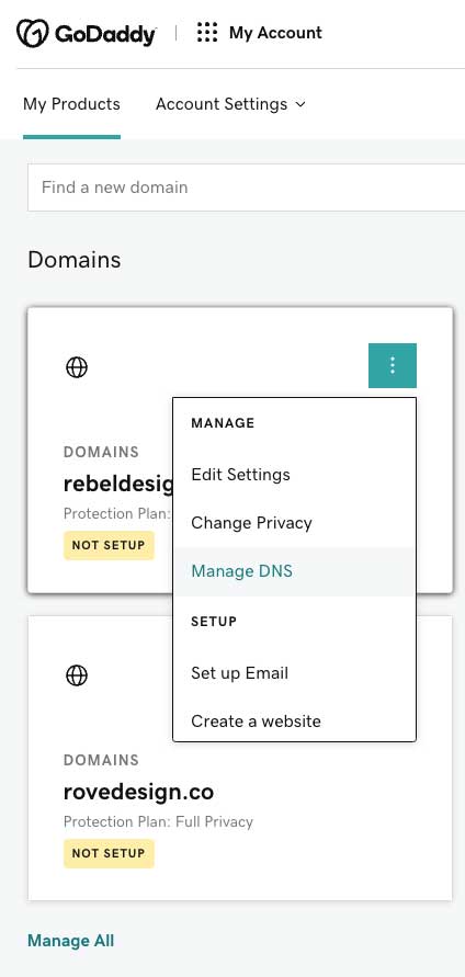 How to update your DNS records for Showit