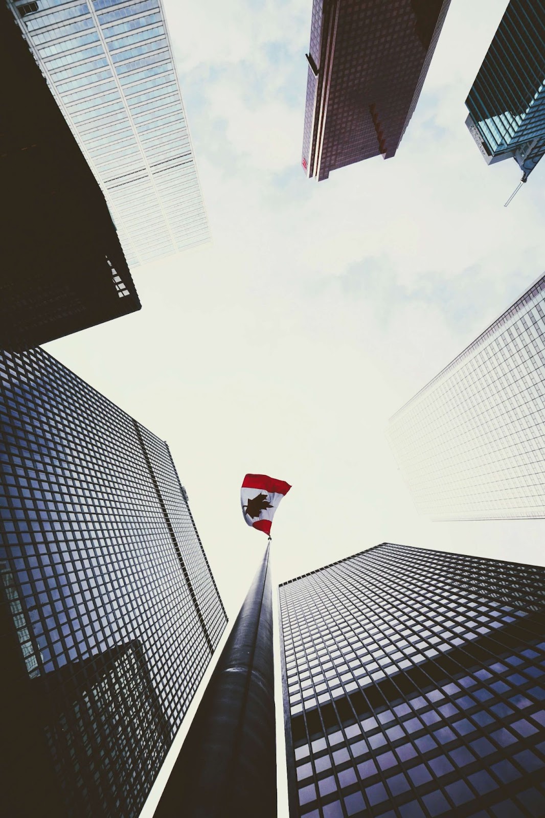 How to start a startup in Canada