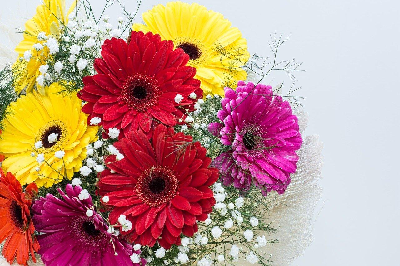 Top 7 Romantic Flowers to Impress your Love on V
