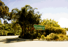 South Coast Botanic Garden