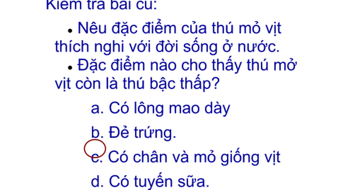 T 50 Bộ Dơi Bộ Ca Voi Ppt Google Slides