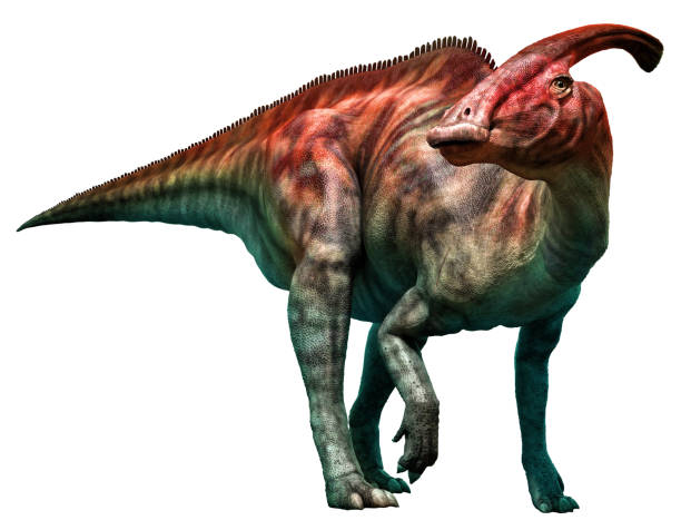 Ornithopods