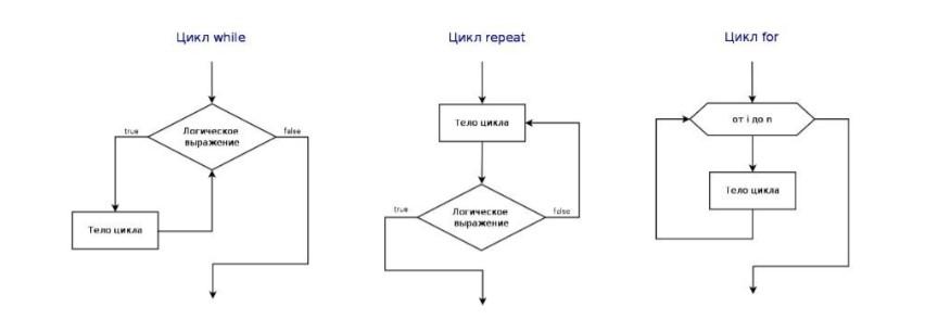 Цикл: особенности и определение