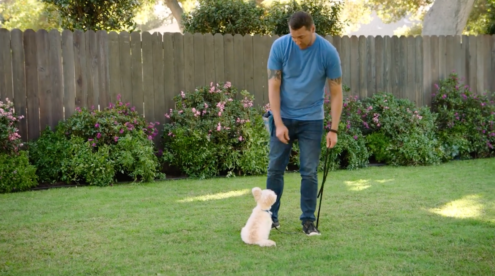 Brandon McMillan teaching a small dog to sit