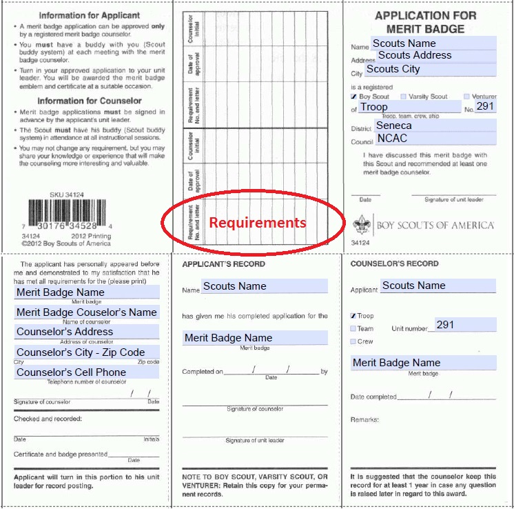 Blue Card Example-Requirements.jpg
