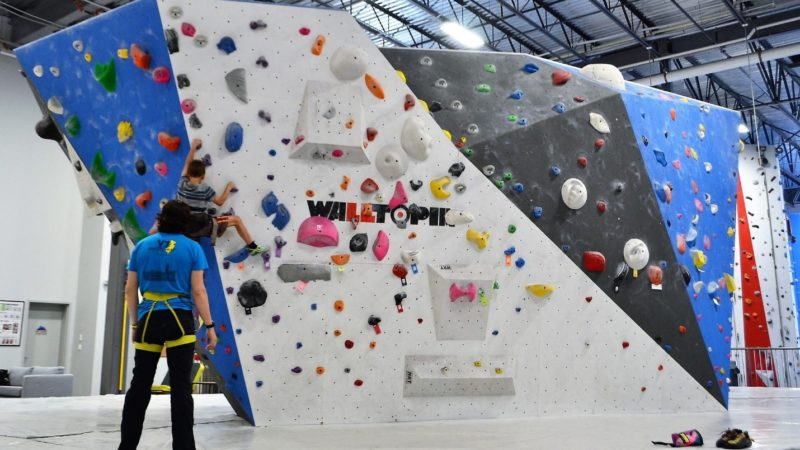 Climbing Wall Kids - All You Need To Know About The Idea