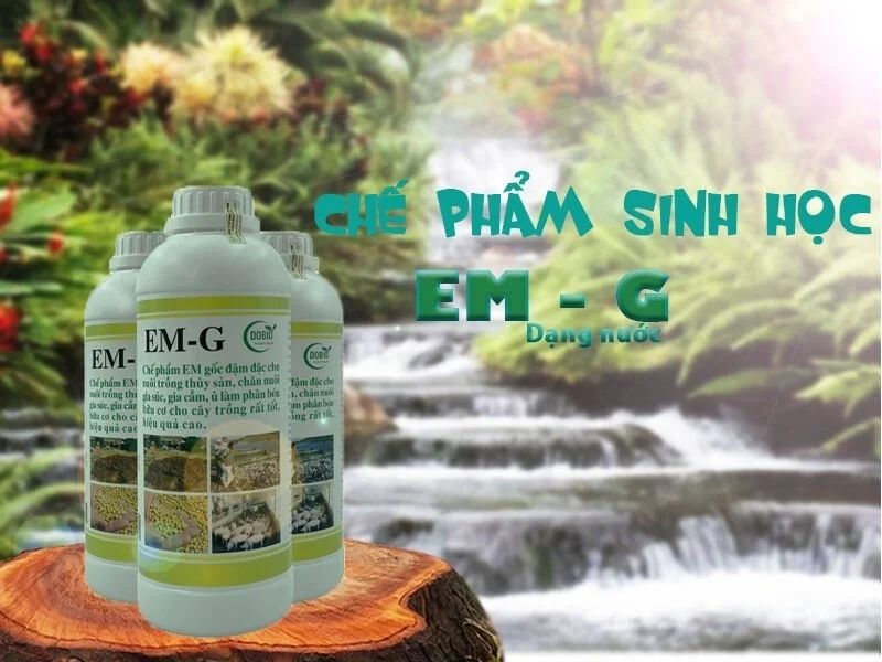 Chế phẩm sinh học EM gốc 