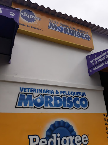 MORDISCO - Veterinario